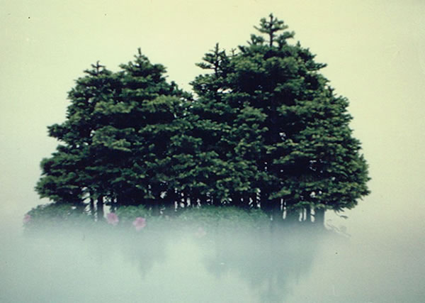 渓流釣 滝壺ポイント