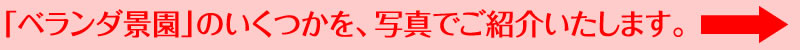 「ベランダ景園」のいくつかを、写真でご紹介いたします。